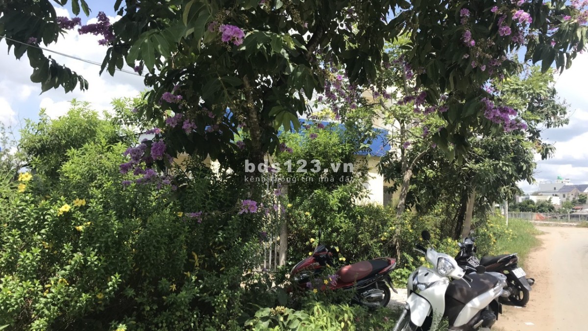 Bán đất mặt tiền đường nhựa, đt 0354232364 tiện ích đầy đủ
