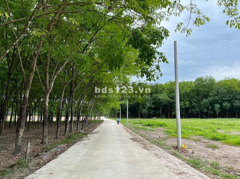 Tuyến đường chính kết nối 2 khu công nghiệp Tân Quan và Minh Hưng Hàn Quốc
