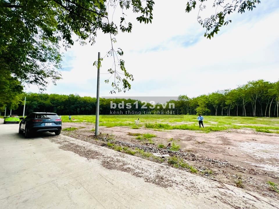Tuyến đường chính kết nối 2 khu công nghiệp Tân Quan và Minh Hưng Hàn Quốc