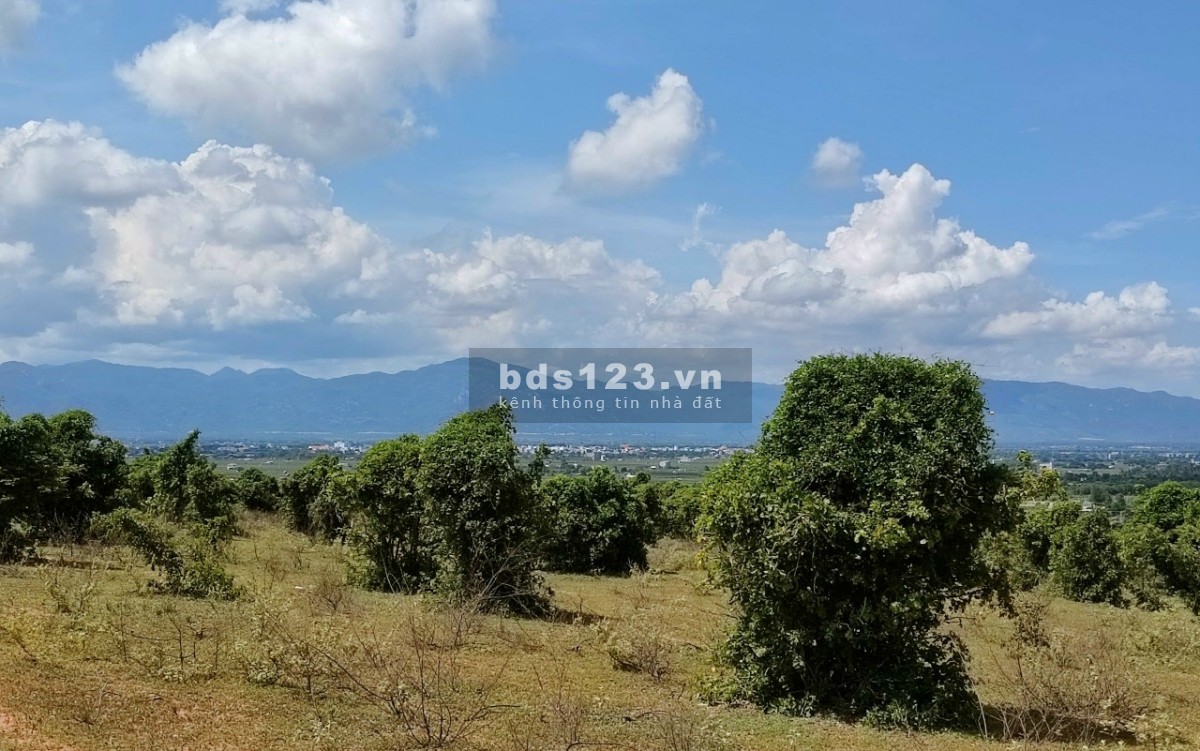 Kẹt tiền cần bán gấp Lô 4090m2 Thị Trấn Chợ Lầu, Huyện Bắc Bình .Tỉnh Bình Thuận