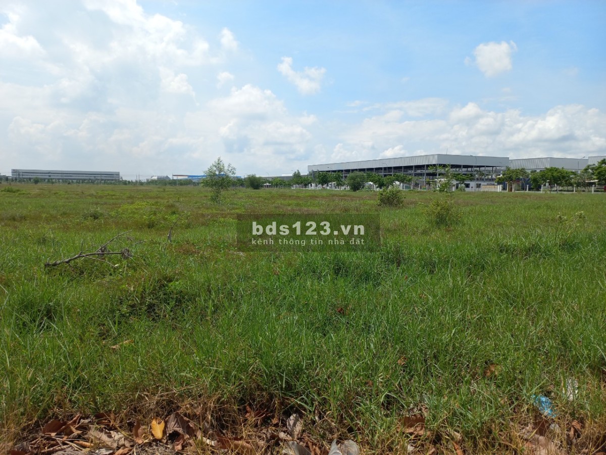 Bán đất 5000m2 trong KCN Mỹ Phước - Bình Dương. Bán đất 2 mặt tiền giá rẻ nhất trong KCN Mỹ Phước