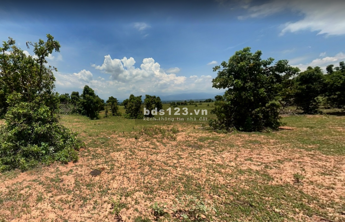 Cần bán gấp lô đất 14.579m2 ngay xã Hồng Thái , Bình Thuận