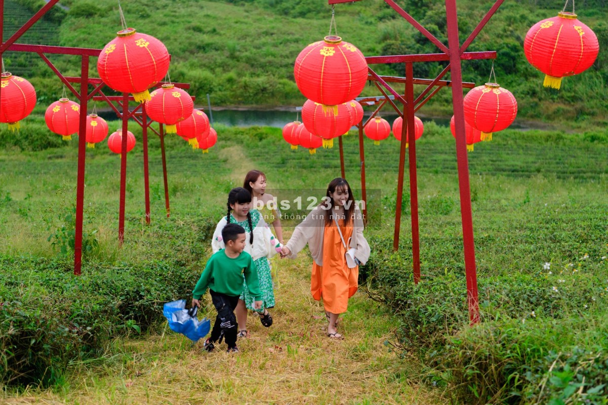 Chính chủ bán 500m đất nghĩ dưỡng Bảo Lộc Sổ sẵn Thổ Cư giá chỉ 1tỷ200 triệu