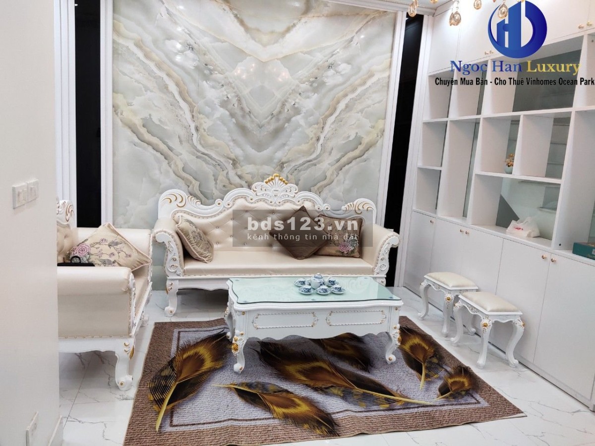 Cho thuê nhà liền kề Ngọc Trai full đồ vào ở luôn, chung cư Vinhomes Ocean Park