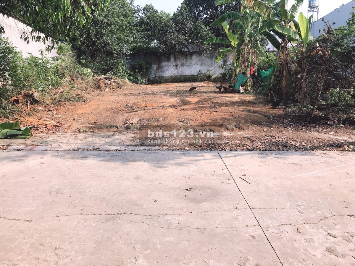 Chính chủ cần bán lô đất 210m2(10x21m) sổ riêng, ngay KCN Mỹ Phước 3 - Bến Cát.