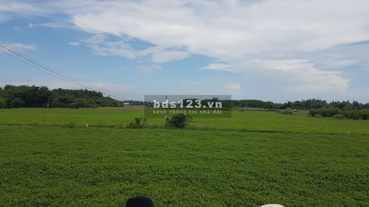 Cần tiền bán nhanh đất vườn Bình Thuận chính chủ, 100k/m2 Sổ riêng công chứng trong ngày