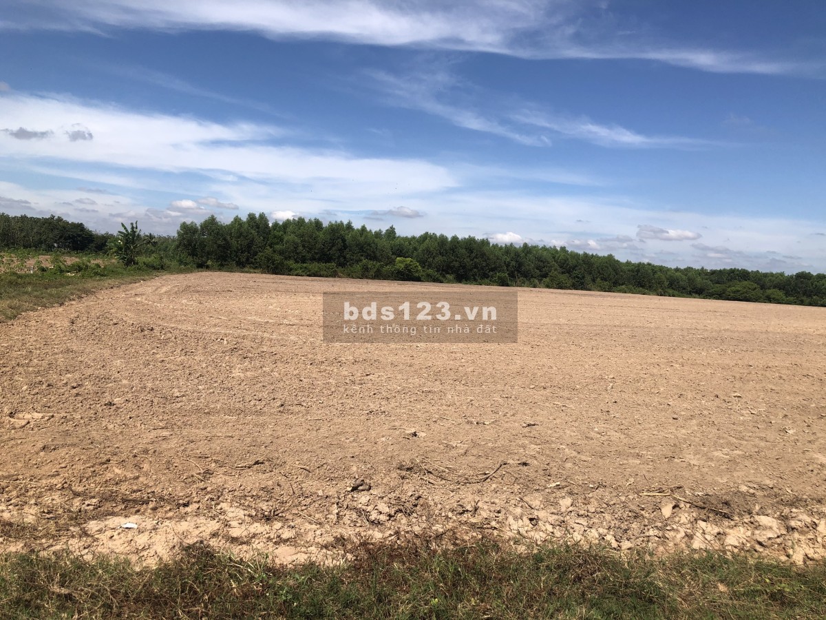Đất Châu Thành mặt tiền đường xe hơi, sổ sẵn giá rẻ