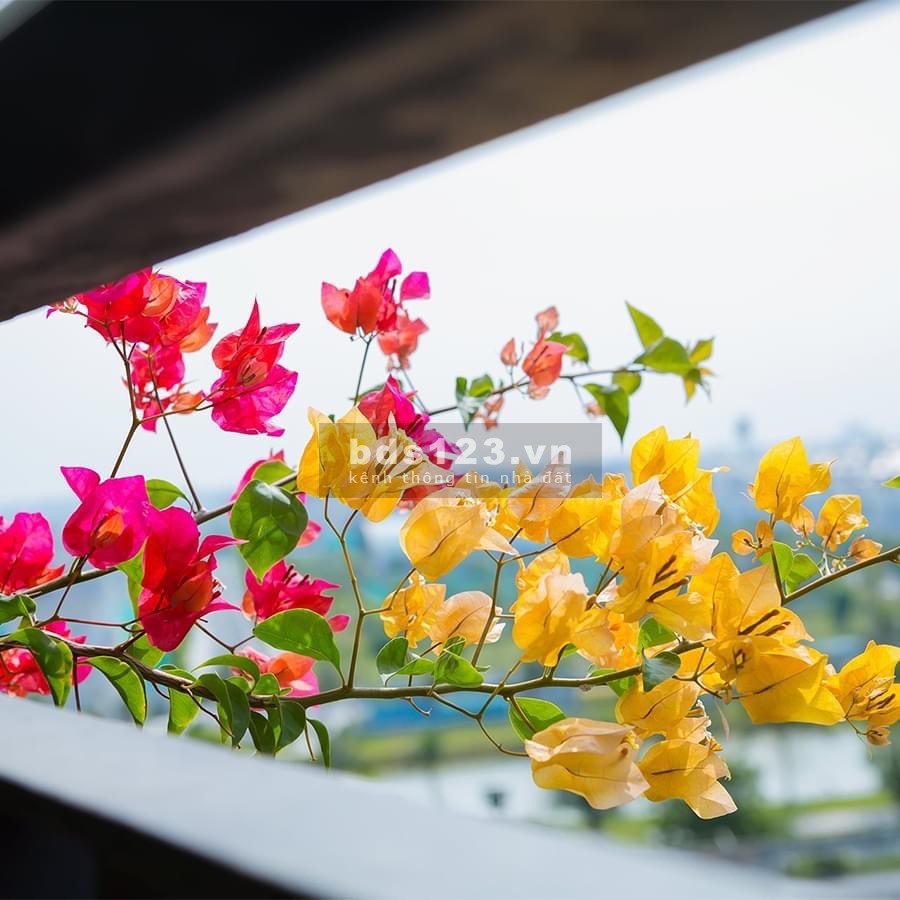 CHÍNH CHỦ BÁN GẤP CĂN 2PN+1VS VIEW TRỰC DIỆN SÔNG SAN HÔ Giá: 1.580TR FULL NỘI THẤT LH: 0987.767.788