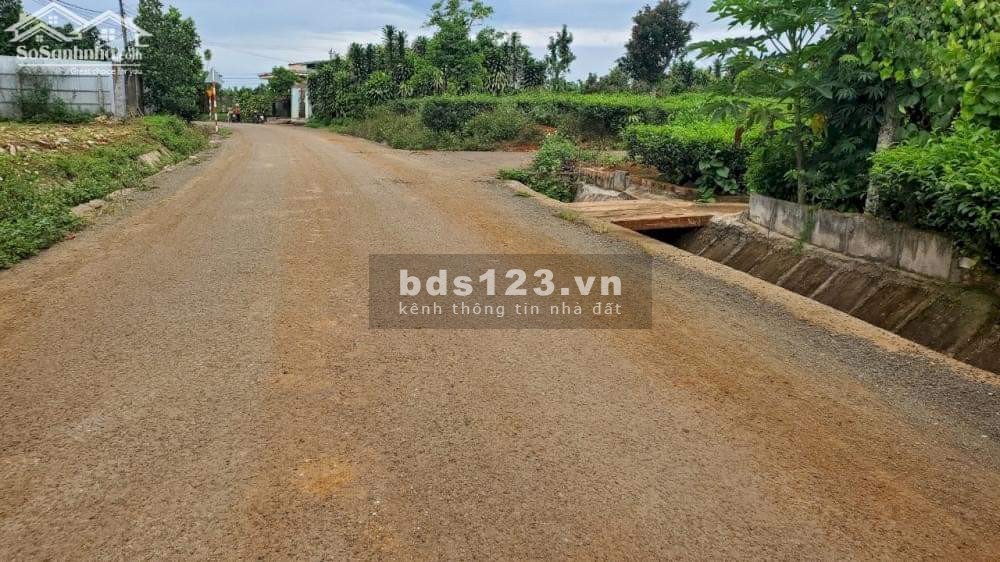 Cần bán gấp đất thổ cư tại Đồng Phú giá rẻ chỉ 490tr, diện tích rộng 250m2