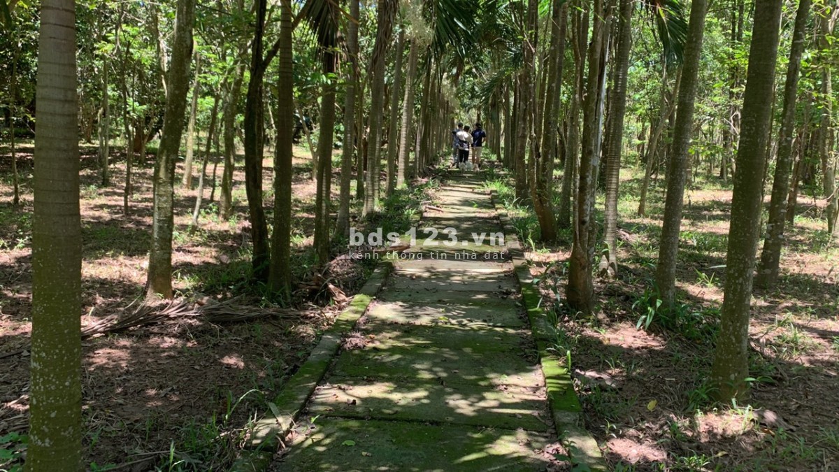 Tôi chính chủ cần chuyển nhượng gấp lô đất diện tích 2.5ha đất thổ cư cạnh hồ Tân Lập xã Tân Lập