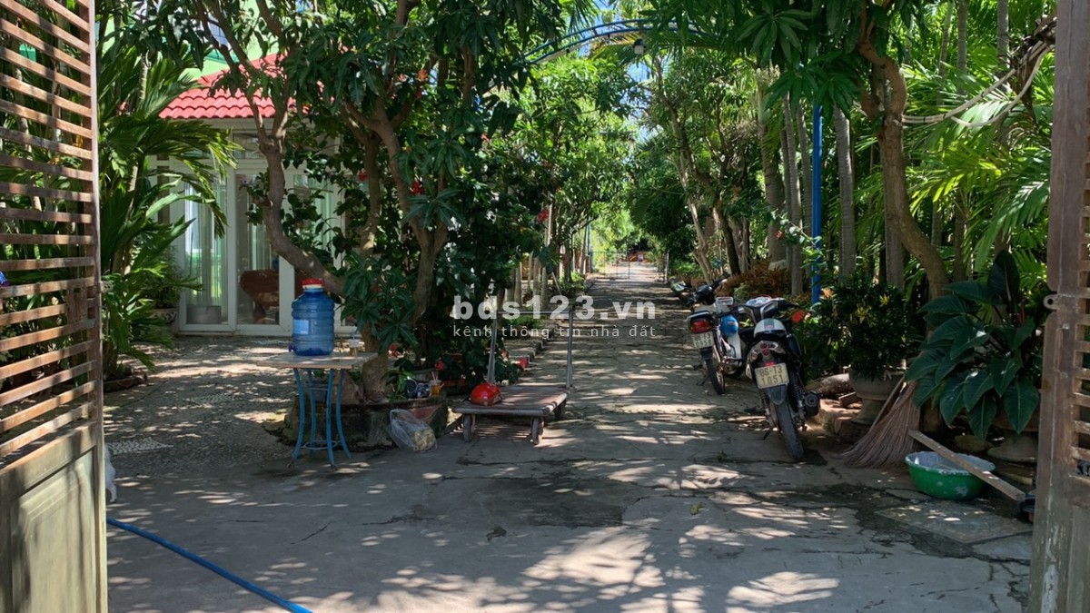 Tôi chính chủ cần chuyển nhượng gấp 7000m2 đất Hàm Thắng, Hàm Thuận Bắc Bình Thuận