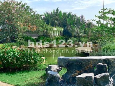 99 căn hộ Thủ Thiêm Dragon đang bán giá tốt nhất thị trường 1PN - 2PN - 3PN, 0782 543 213 Mr.Phú