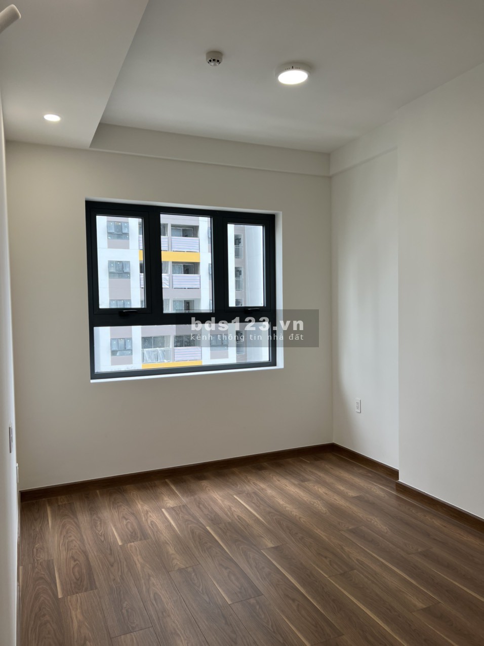 Chuyên cho thuê căn hộ Q7 Riverside MT Đào Trí, liền kề Phú Mỹ Hưng, ĐH Rmit, giá từ 7.5 triệu/tháng
