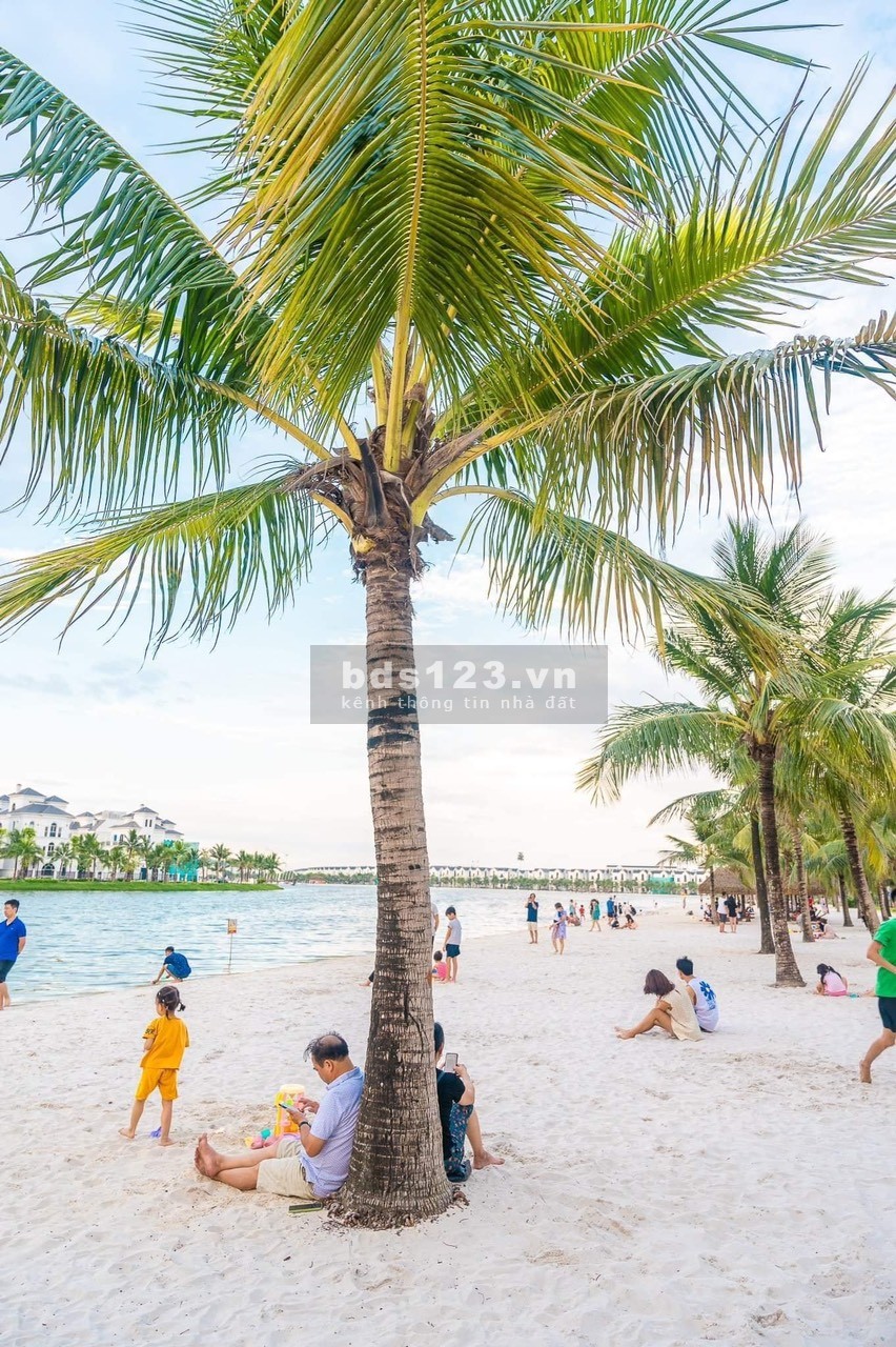 Do cần tiền gấp nên e bán căn 3PN, 2VS 80m2 góc giá 2.3 tỷ tại Vinhomes Ocean Park LH: 0977 484 841