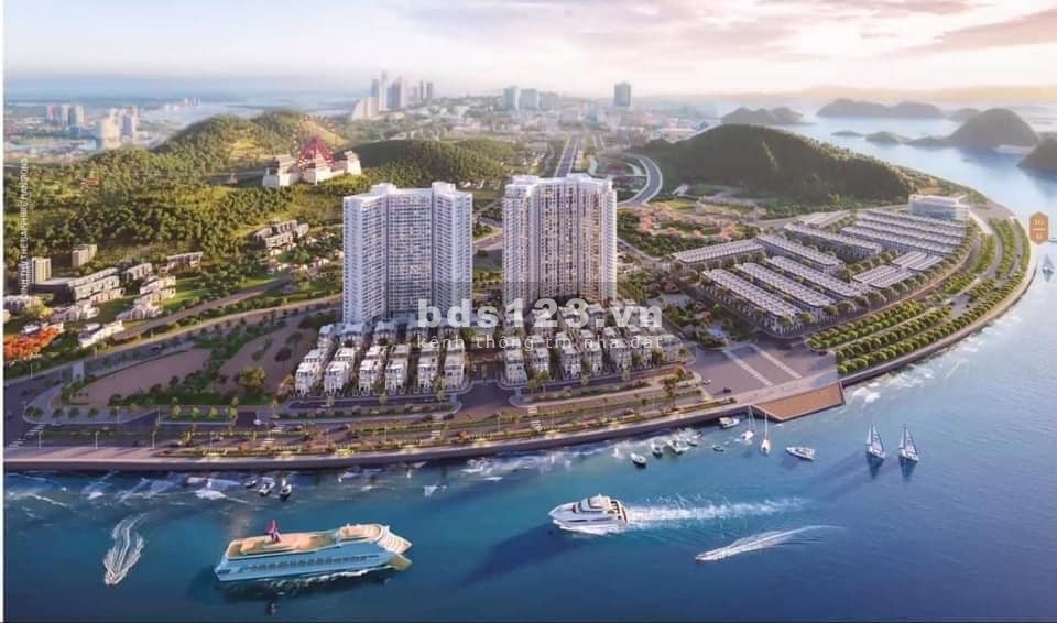 Mở bán dự án siêu dinh thự bên vịnh kỳ quan The Sapphire Mansions Bến Đoan, Hạ Long.