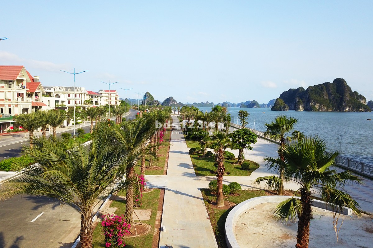 Bán Mảnh Đất Mặt Đường Bao Biển Trần Quốc Nghiễn Siêu Đẹp, Vị Trí Đắc Địa trung tâm Hạ Long