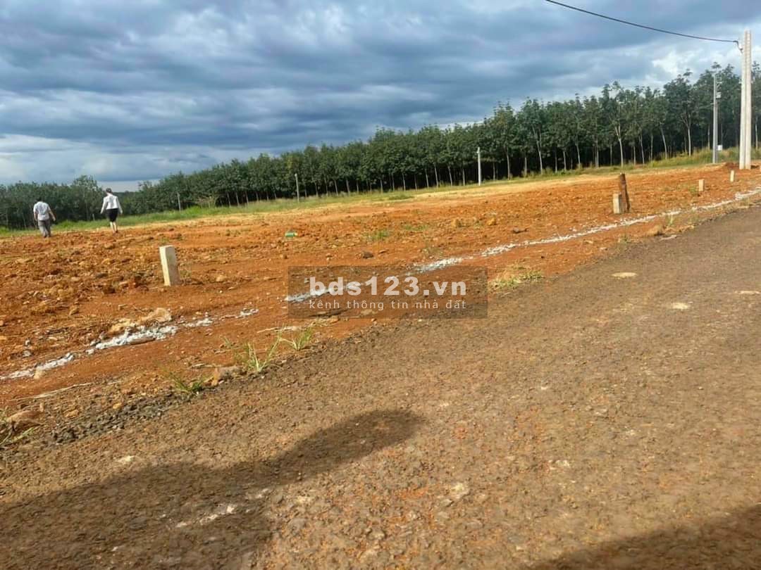 Đất thổ cư gần KCN Bình Phước 300m² giá chỉ 300triệu