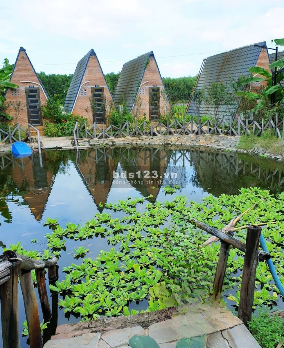 Bán resort view đồng ruộng cơ hội đầu tư kinh doanh mô hình nghỉ dưỡng