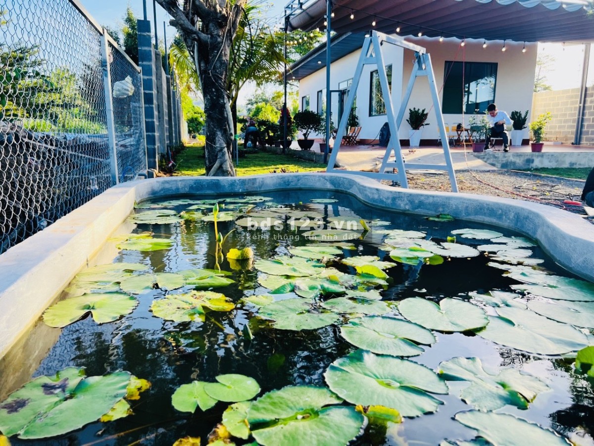 Bán nhà vườn tại Thôn 8, Xã Cư Êbur, TP Buôn Ma Thuột, DT 14 x 85m, Giá 1 Tỷ 690 Triệu