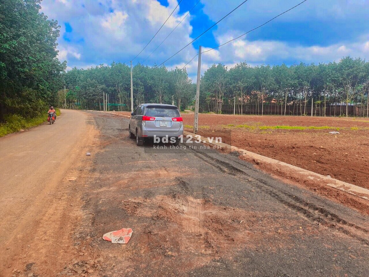 Chủ Kẹt Tiền Bán Gấp Lô Đất 250m2 Giá 380 triệu