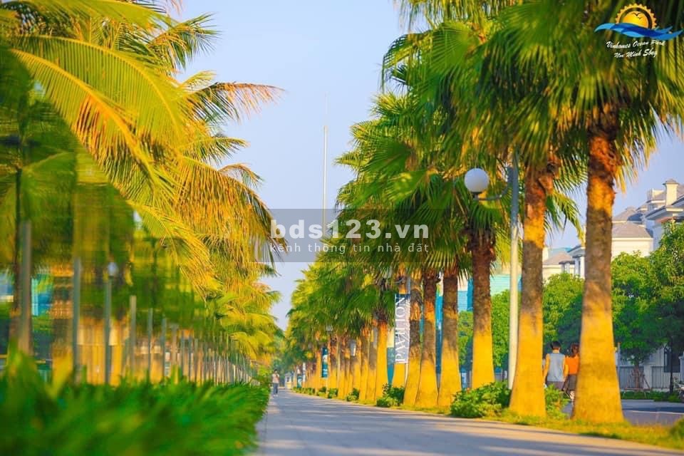 Bán gấp Studio chỉ 980 triệu full đồ không cầm sắm bất cứ thứ gì, sổ hồng lâu dài lh 0976366513
