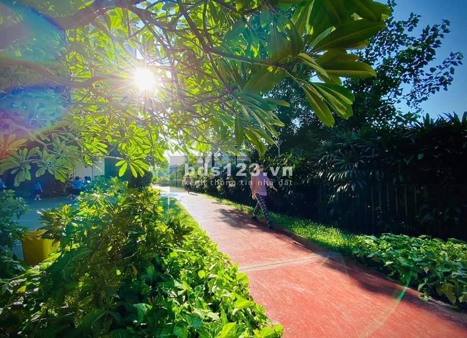️‍Bán căn cực hiếm tại chung cư cao cấp Mulberry Lane, Mỗ Lao, Hà Đông, 133m, 3PN, 5tỷ