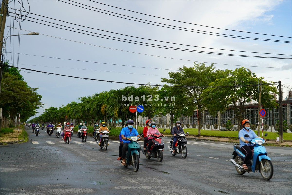 Bán gấp 4 lô thổ cư 1000m2, ngay chợ, kế Bách Hoá Xanh, giá đầu tư
