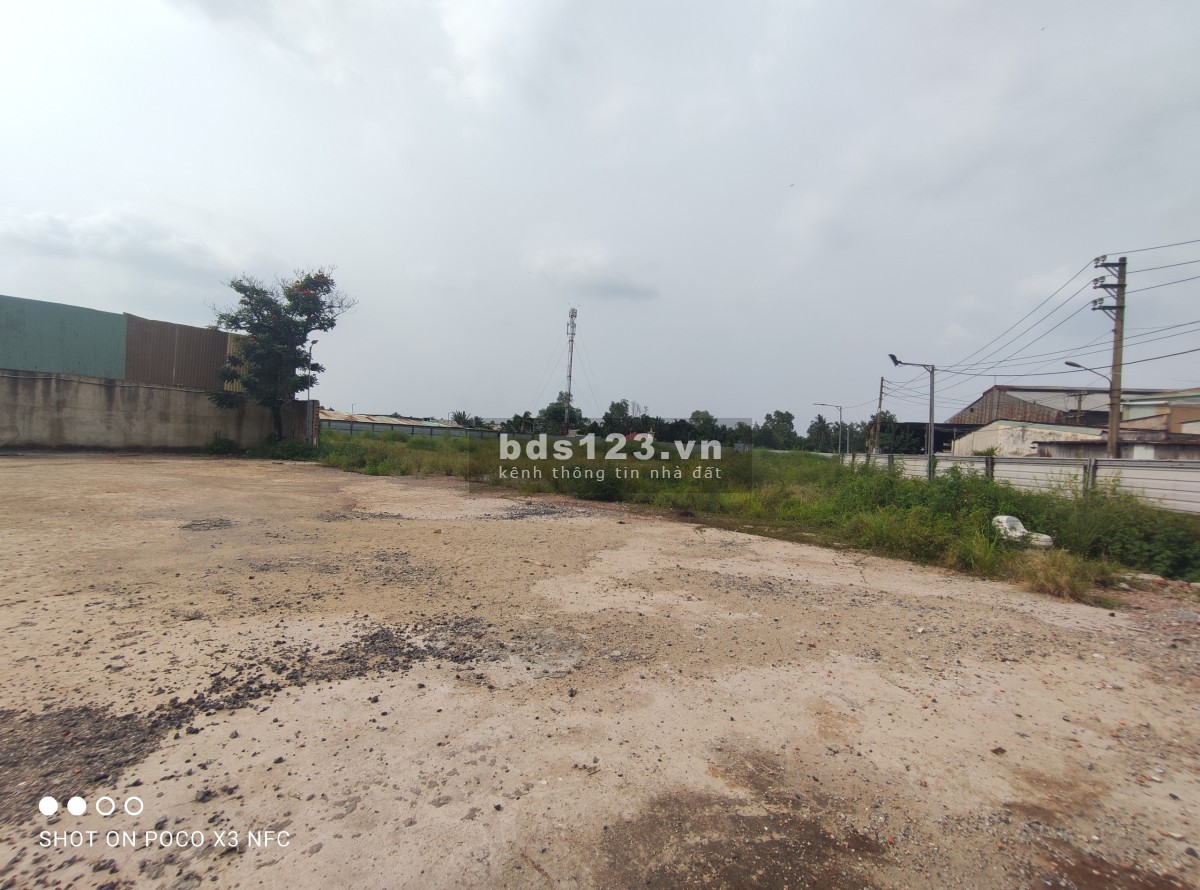 Cho thuê 6500m2 đất Trần Đại Nghĩa, Tân Kiên, Bình Chánh, TP.HCM