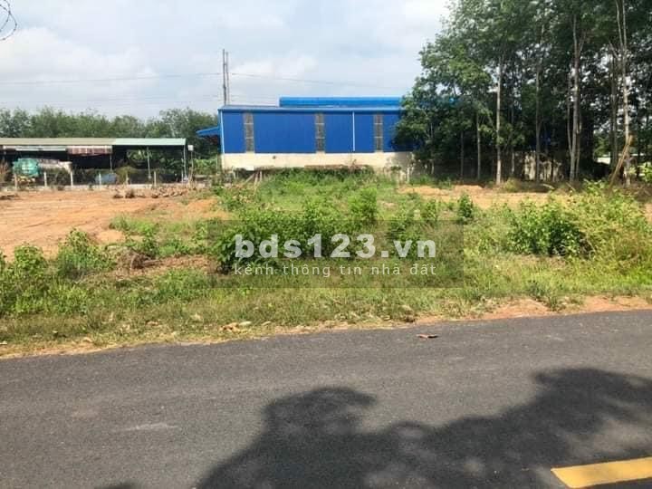 Bán gấp 4 lô thổ cư 1000m2, ngay chợ, kế Bách Hoá Xanh, giá đầu tư