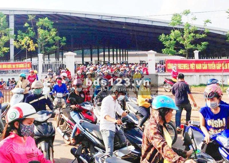 Đấu hạn ngân hàng cần bán gấp đất tại Mỹ Phước 3, Bình Dương, giá rẻ hơn thị trường 200 triệu