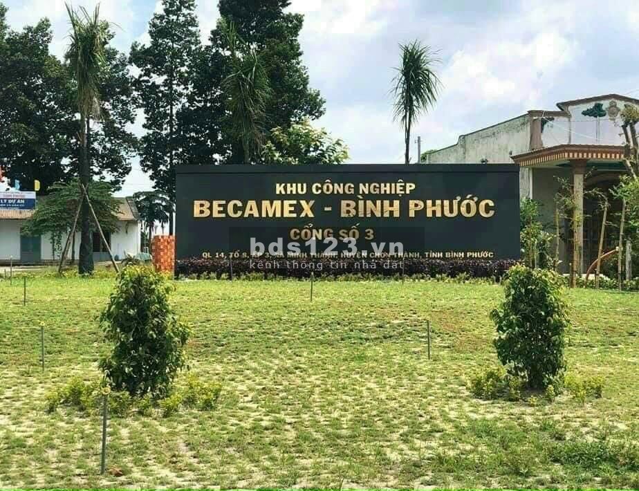 Chính chủ cần bán đất tại huyện Đồng Phú tỉnh Bình Phước