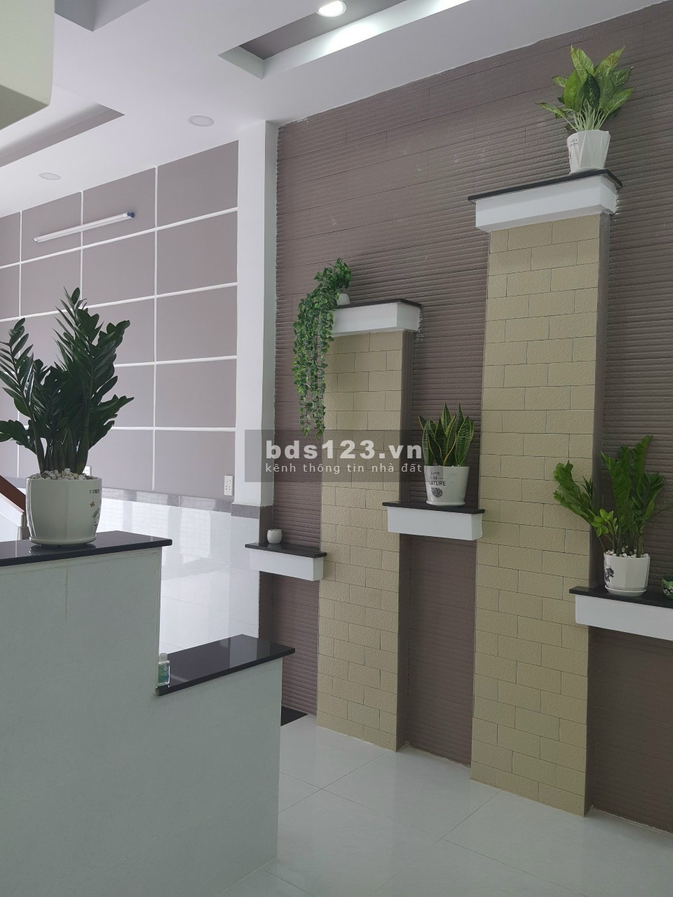 cho thuê nhà nguyên căn đường số 10 Linh XuânThủ Đức,LH 0909428959.