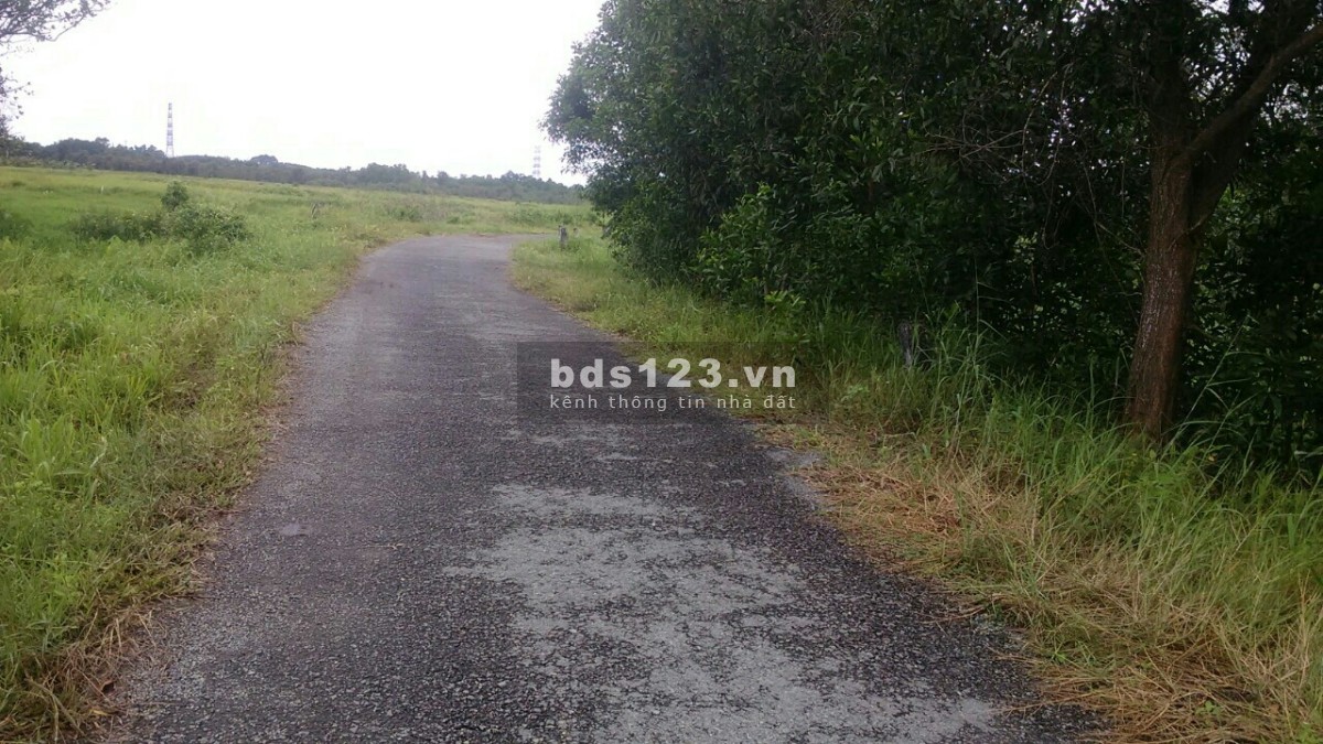 Bán gấp 1000m2 đất cây lâu năm, Hồ Thị Bưng, Tân Thạnh Tây, Củ Chi 1,05 tỷ thu về