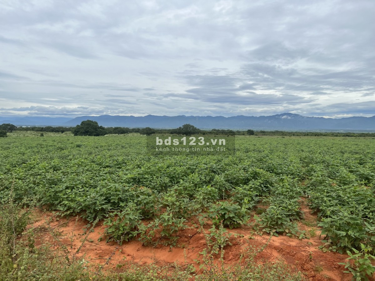 Thanh Lý cắt lỗ 60 triệu lô đất vườn trồng điều ven biển Hòa Phú cạnh khu du lịch Bàu Trắng
