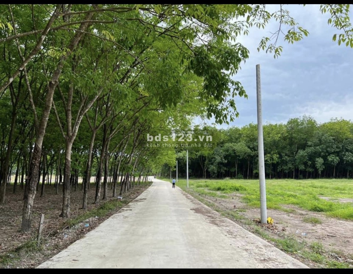 Cần tiền bán gấp lô đất giá ngộp liên hệ 0962849275