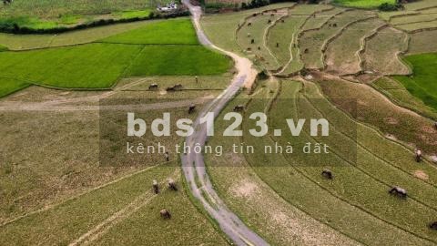 Lô siêu phẩm nghỉ dưỡng hiếm, duy nhất tại Tân Lạc Hòa Bình, giá bán chỉ còn 2.3 tỷ, lh 0982876689
