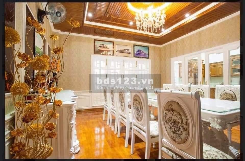 Bán đất tặng biệt phủ trị giá 20 tỷ, xa hoa nhất quận Tân Phú, giá chỉ còn 55 tỷ đồng