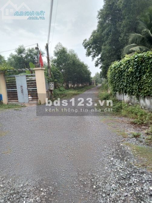 Bán lô đất dsh Tam Phước, Biên Hoà, Đồng Nai 550 triệu/tháng