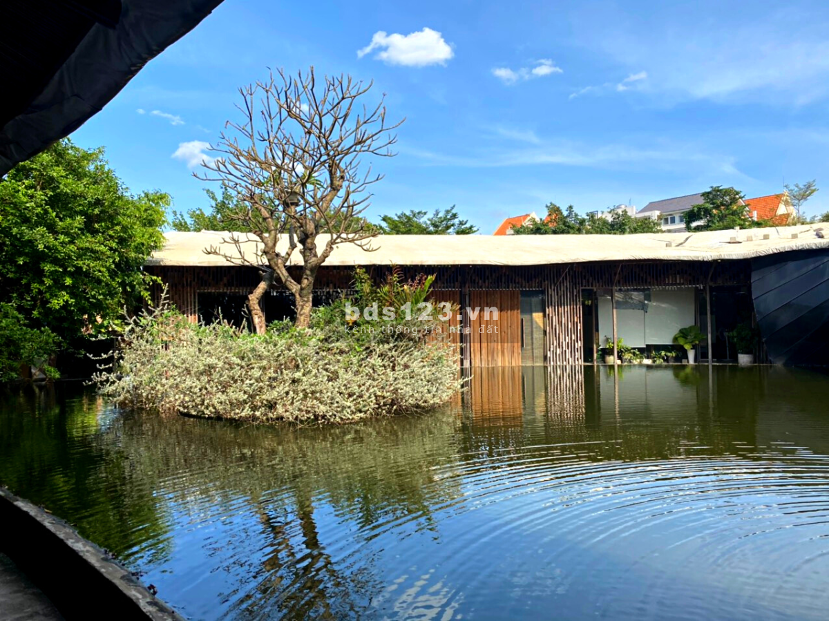 Văn phòng xanh đẹp mới lạ giữa vườn Sài Gòn với giá phải chăng