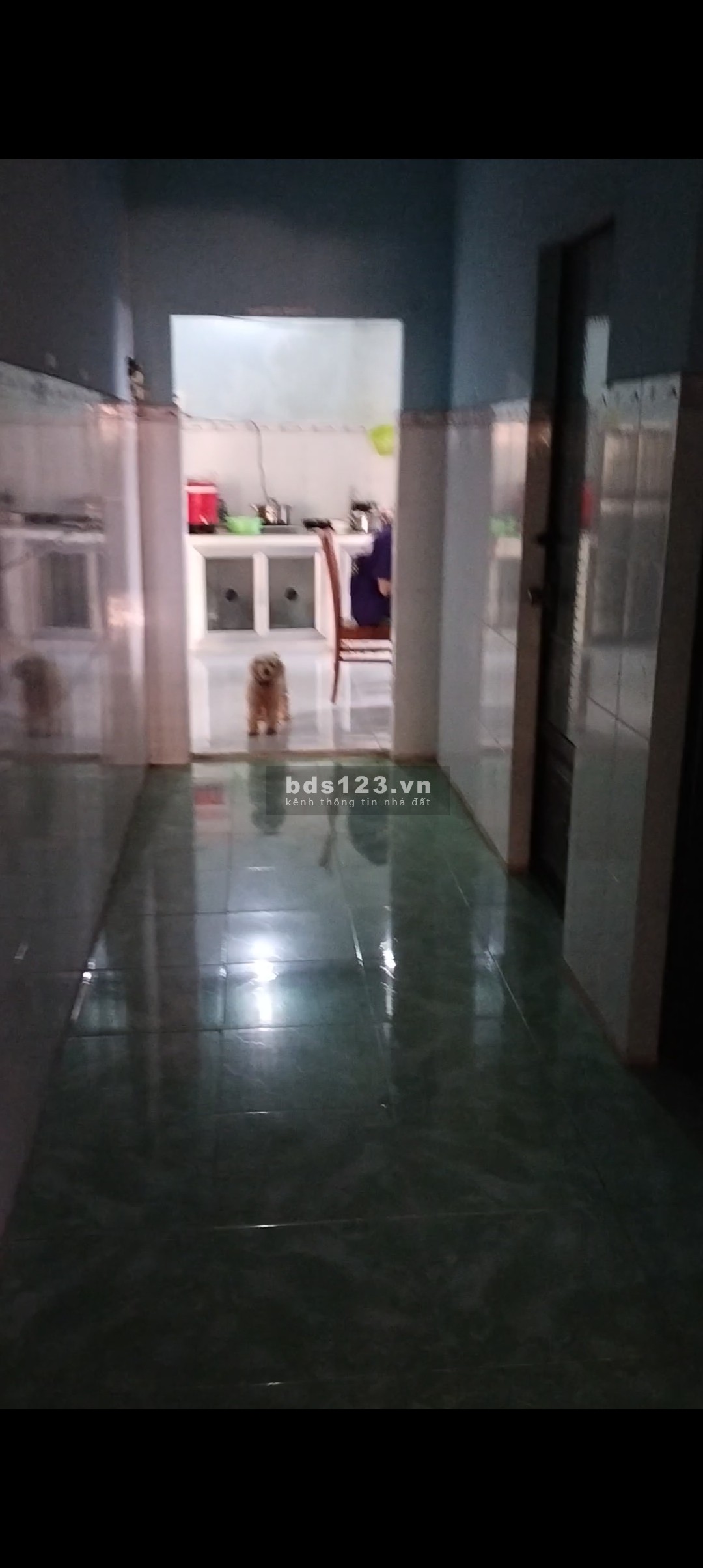 Bán nhà cấp 4 sân vườn rộng đẹp chính chủ, giá 800 triệu, LH 0908639056