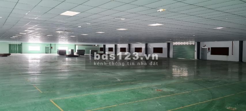 Cho thuê 3000m2 kho xưởng KCN Tân Đô, Đức Hòa, Long An