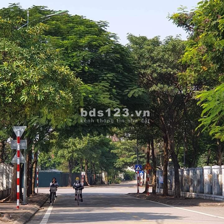 Bán Nhà Phố Đức Giang, DT 51m² x 4 tầng, MT 4m, Hướng Tây Nam, Đường 5, Đầu Tư Sinh Lời chỉ 5,4 tỷ