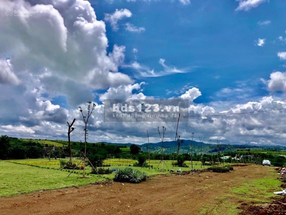 BÁN ĐẤT THỔ CƯ, cách nút giao cao tốc 3km, gần các khu du lịch, GIÃN THANH TOÁN 12 tháng.