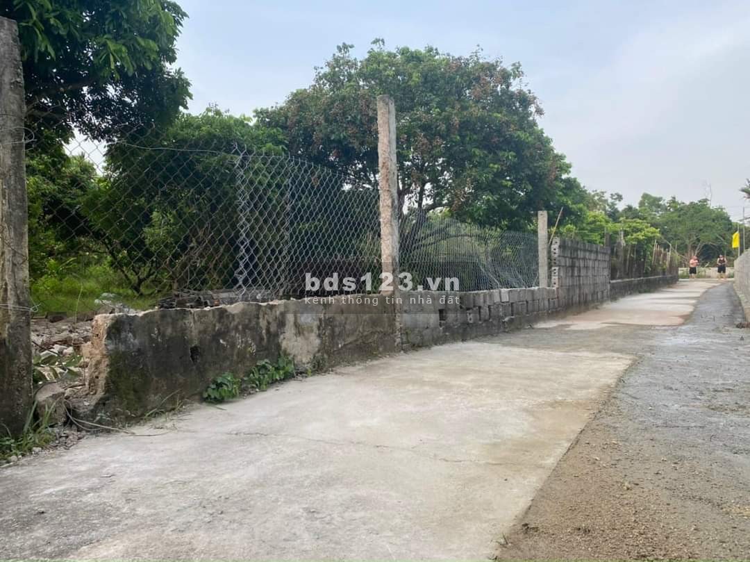 Bán đất tại Lê Hồng Phong, Phủ Lý Hà Nam diện tích 300m2, mt 8m, giá chỉ nhỉnh 14 triệu/m2