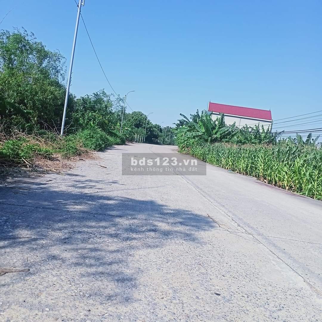 Bán đất xã Quỳnh Lưu, Nho Quan, Ninh Bình, diện tích 2959m2, giá 7.5 triệu/m2