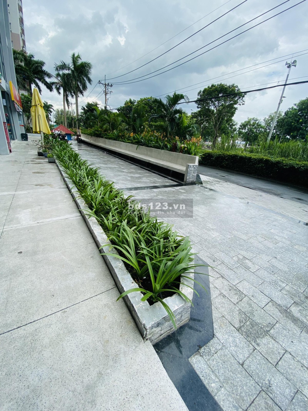Sở hữu ngay 85m2 đất thổ cư xã Phong Phú, Bình Chánh. Cách QL50 Q8 chỉ 700m. Sổ đỏ riêng!