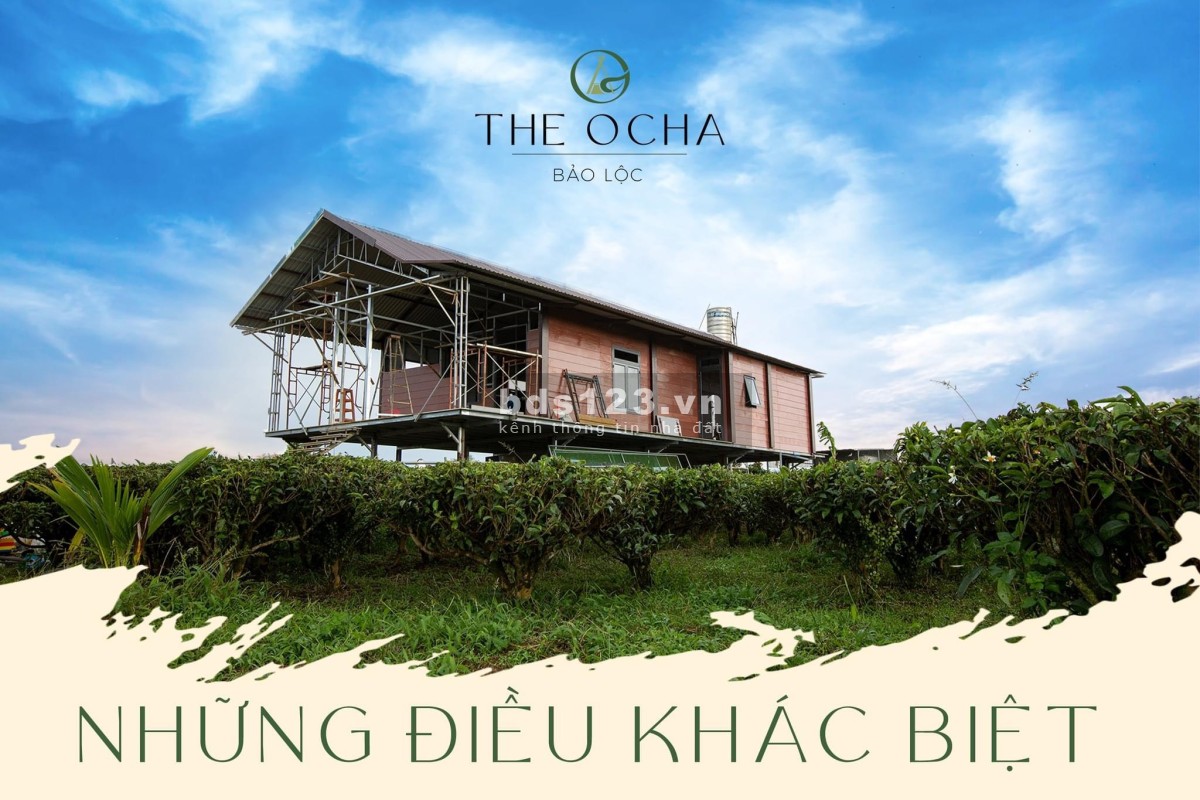 The Ocha Villa Bảo Lộc nghỉ dưỡng hot nhất hiện nay, liên hệ chính chủ 036.5555.667