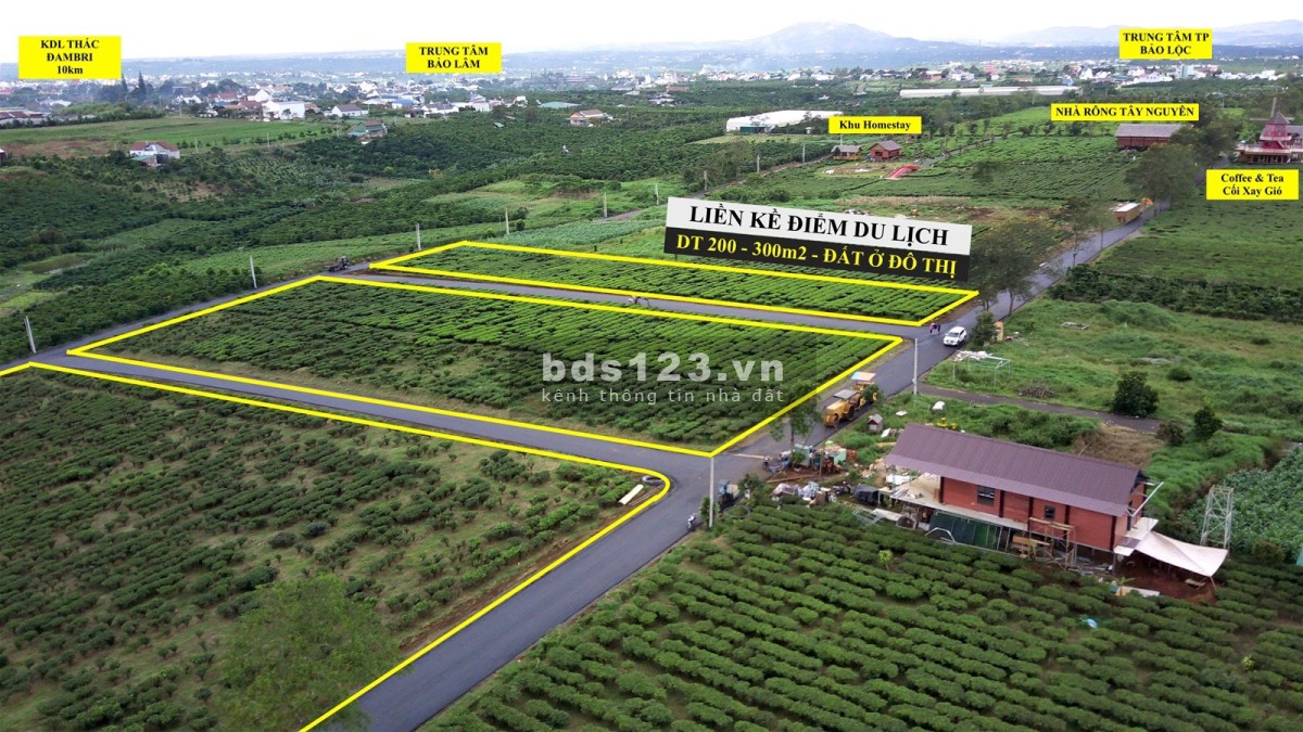 The Ocha Villa Bảo Lộc nghỉ dưỡng hot nhất hiện nay, liên hệ chính chủ 036.5555.667