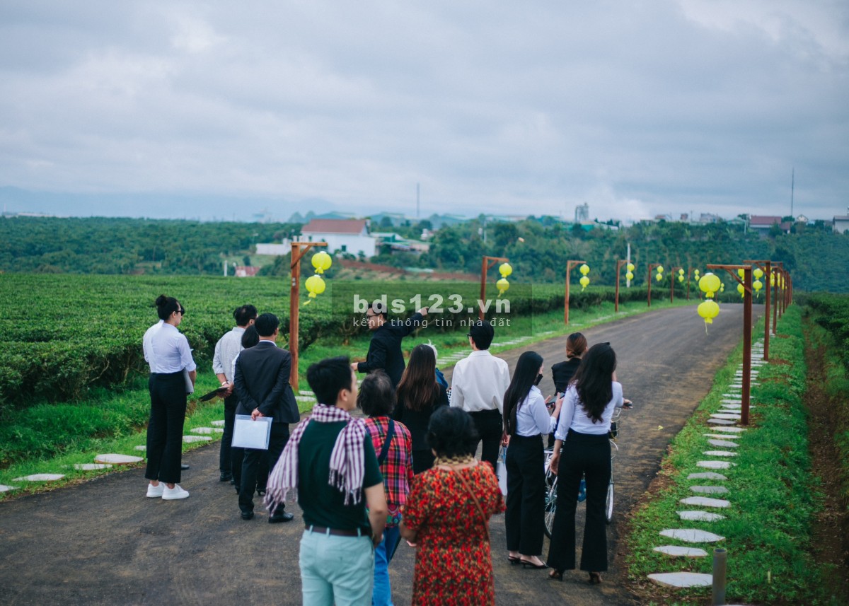 The Ocha Villa Bảo Lộc nghỉ dưỡng hot nhất hiện nay, liên hệ chính chủ 036.5555.667