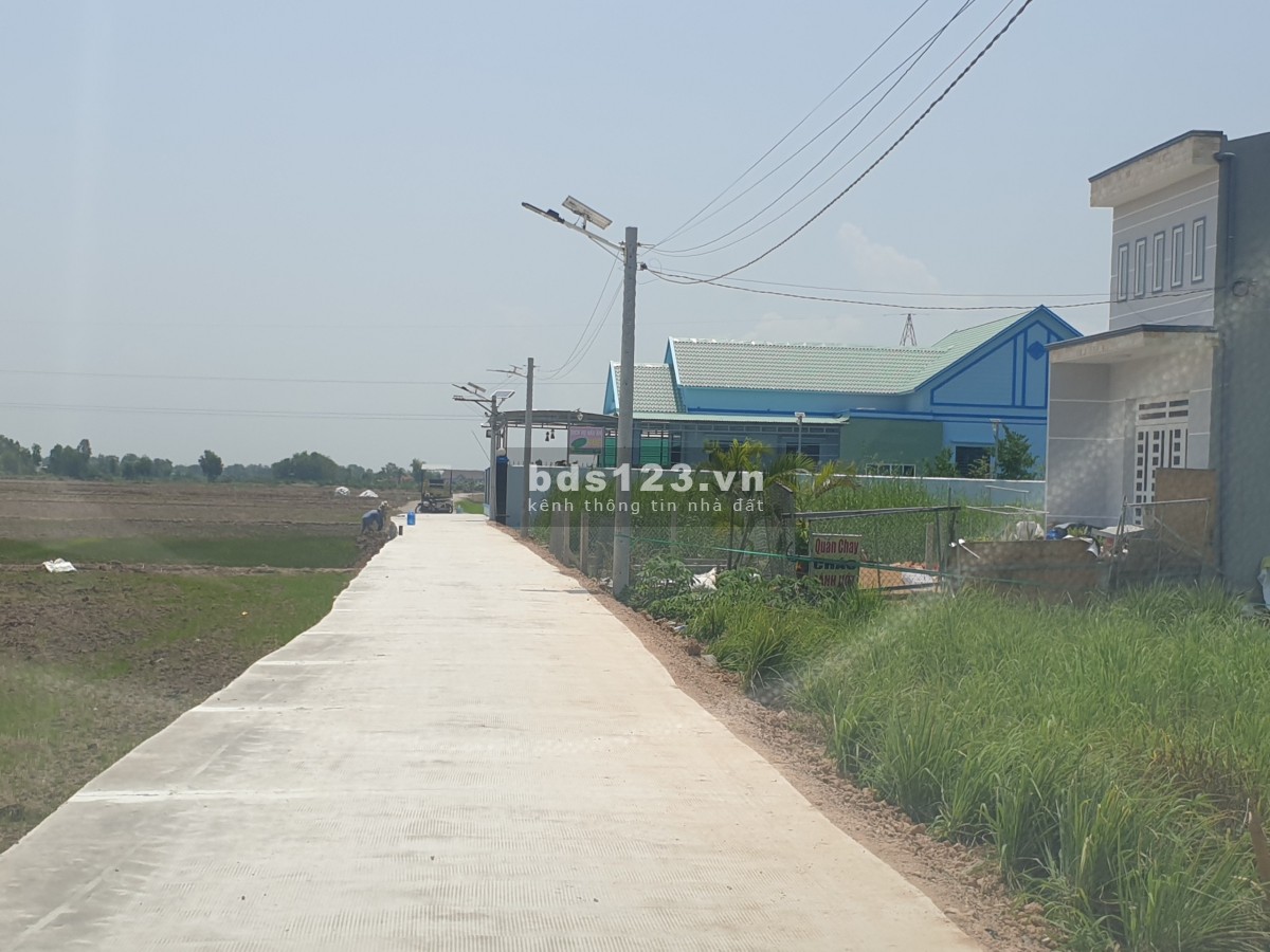 Bán đất thổ cư 197m2 gần QL 50, Xã Long An, Huyện Cần giuộc, Tỉnh Long An